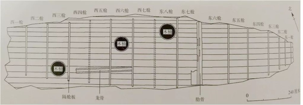 16年前的一次捕捞竟揭开了这片海域的神秘面纱宝物是如此之多