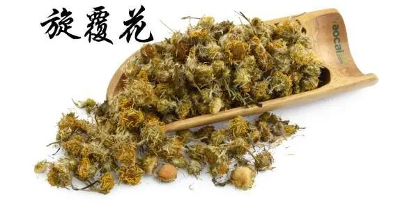 【药用部位】菊科植物旋覆花的头状花序.