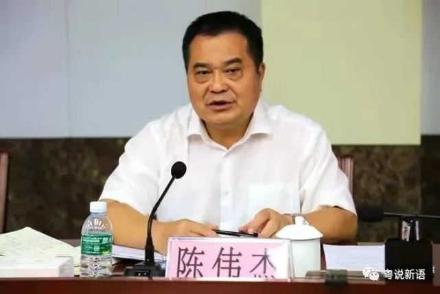 辞去湛江市副市长的他,履任新职