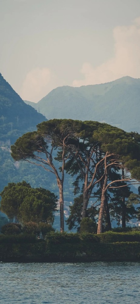 壁纸ins潮图(32期)