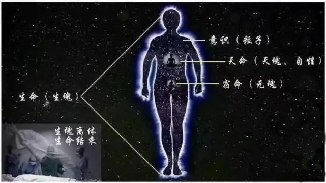 人体三魂七魄,脏腑之神以及万物生灵的神识,都是因人体生命的因缘汇聚