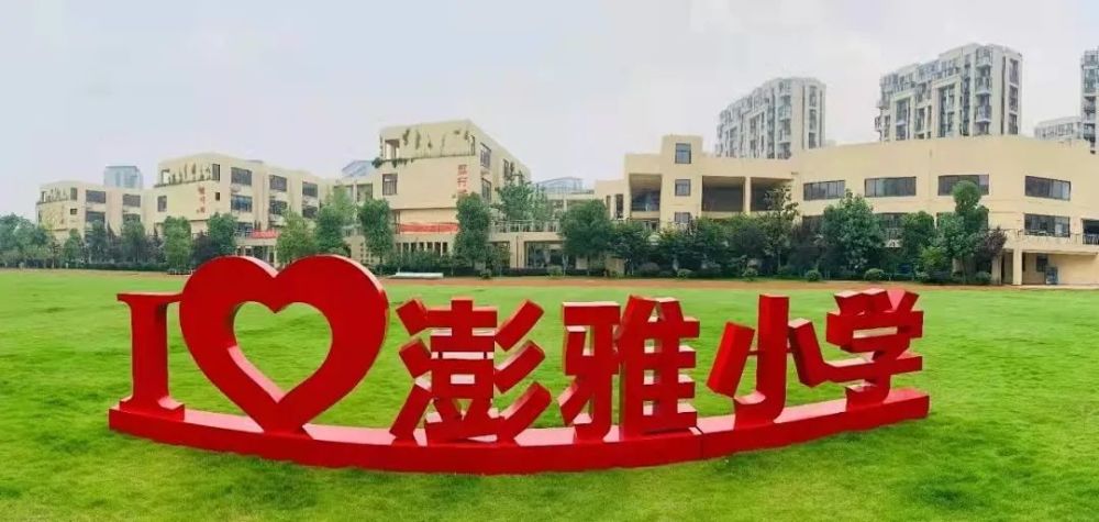 杭州市澎雅小学校长王红燕:教育,安静且热烈