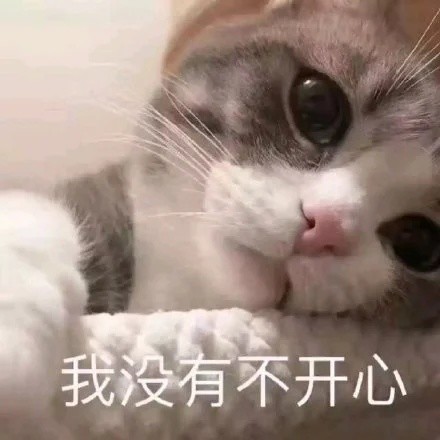 生活不易,猫猫叹气|表情包