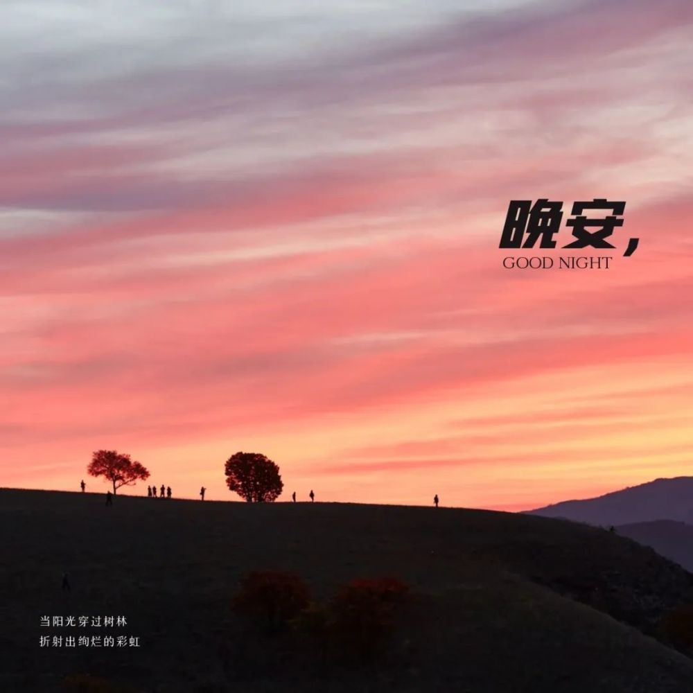 近期喜欢的13句文案语录
