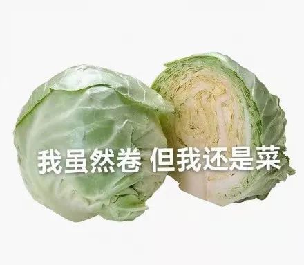 表情包内卷系列