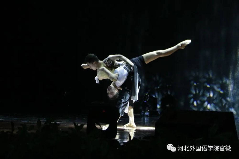 北京舞蹈学院青年舞团舞者马蛟龙受聘为河北外国语学院终身教授