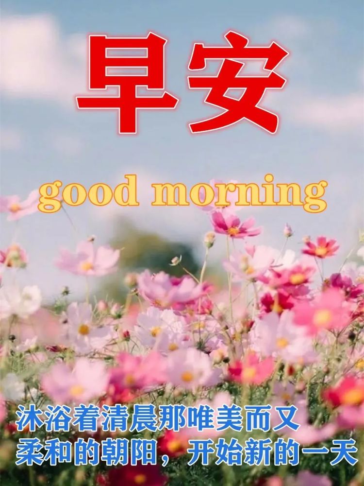 很暖心的早上好问候语祝福短信最美早上好鲜花图片带字