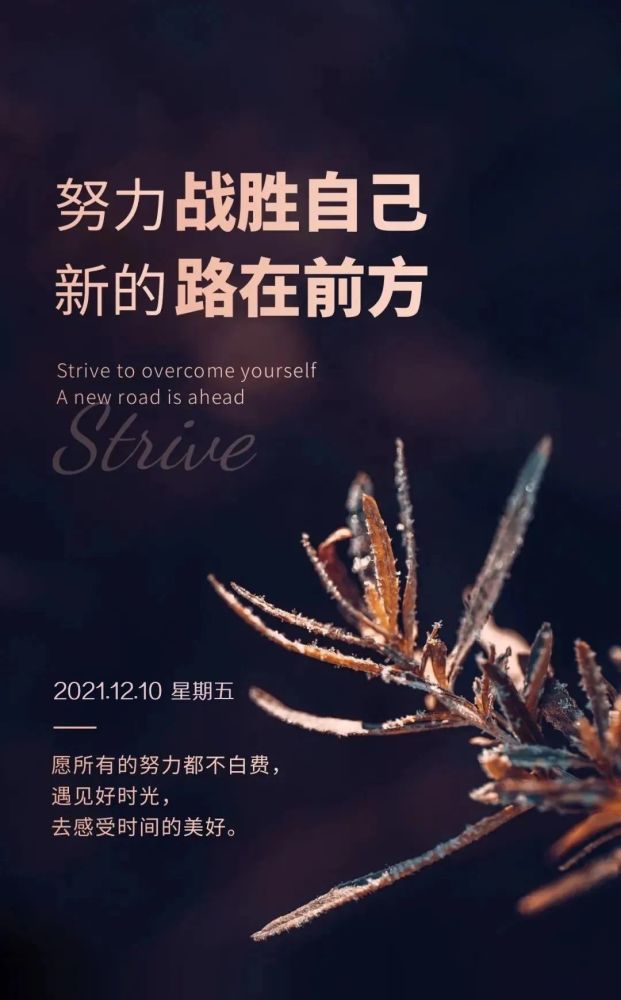每一份坚持,都是成功的累积,只要相信自己,总会遇到惊喜,早安!