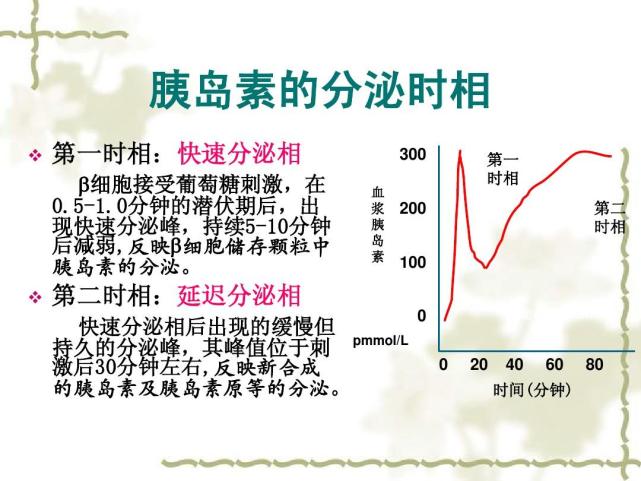 在2型糖尿病早期阶段,第一时相胰岛素分泌减少或者消失;由于第一时相