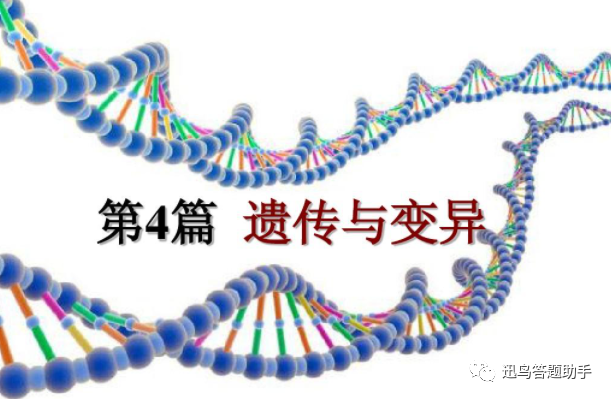 中性突变c 移码突变b.