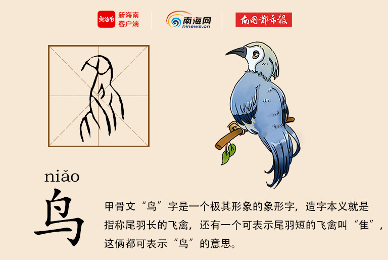 学认甲骨文鸟啼花落形单影只