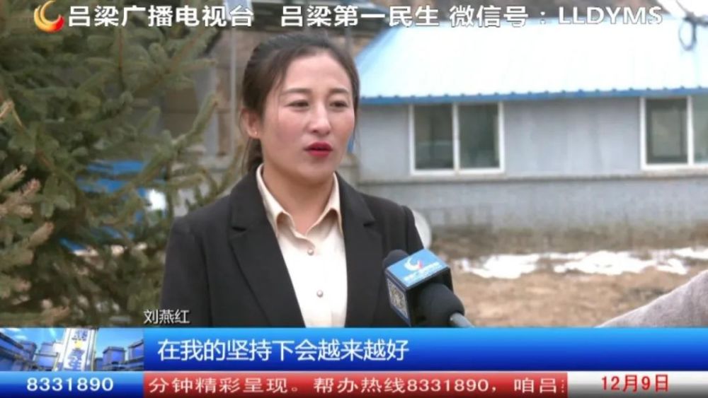 【吕梁第一民生】 刘燕红:妇女顶起半边天 "二妹子"闯出致富路《我为