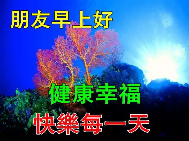 12月11日最漂亮早上好动态表情图片大全,早晨好动