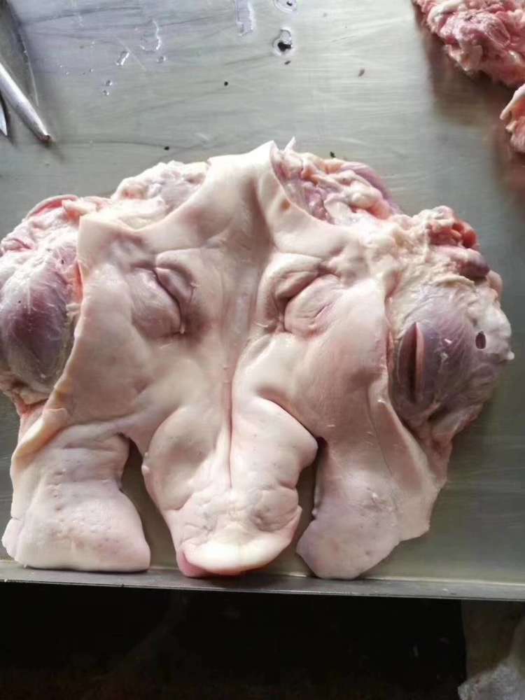 猪头肉的淋巴可以吃吗