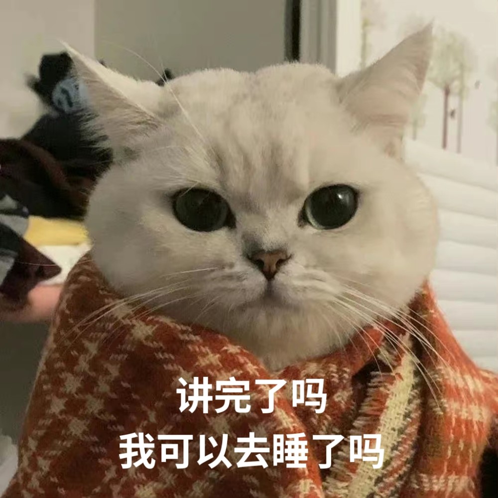 敷衍猫表情包啊对对对