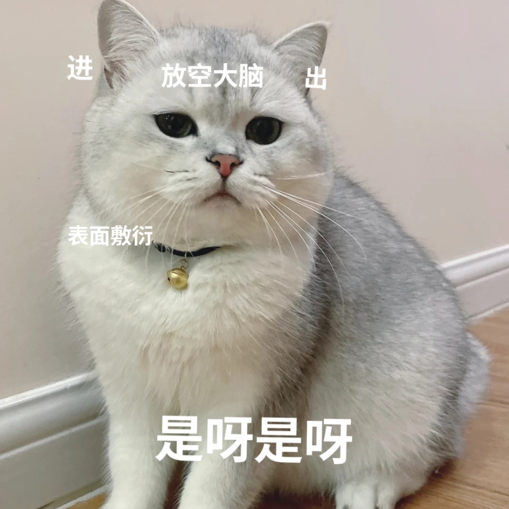 敷衍猫表情包|啊对对对