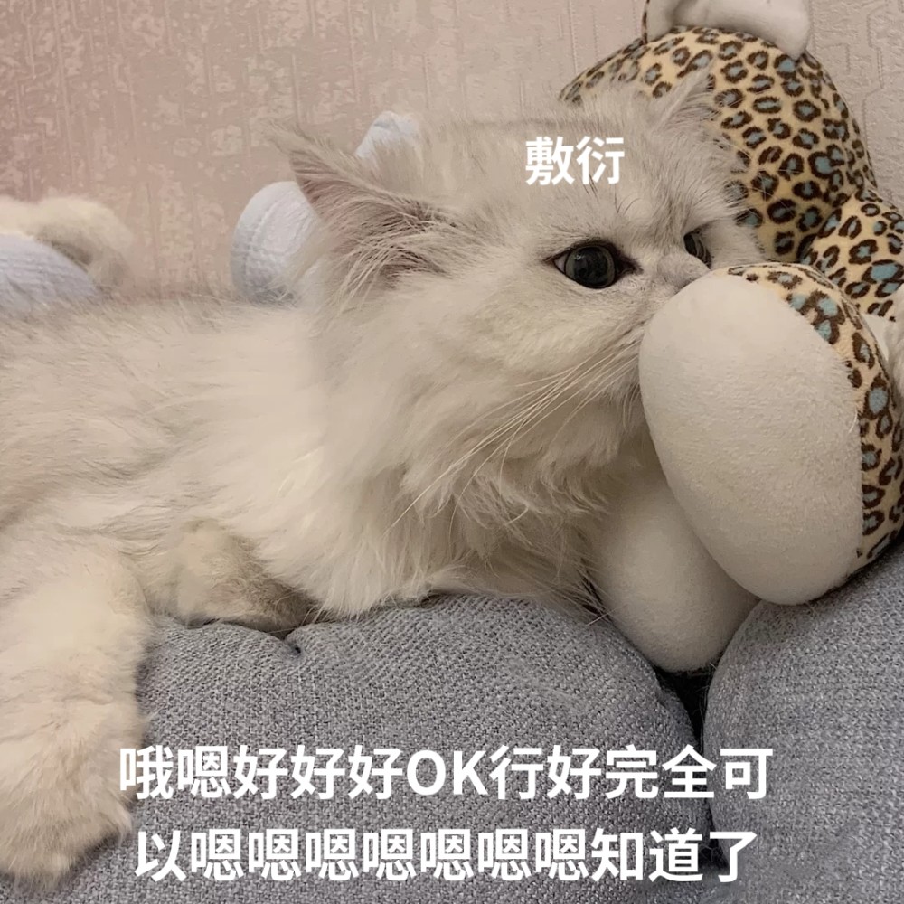 敷衍猫表情包|啊对对对