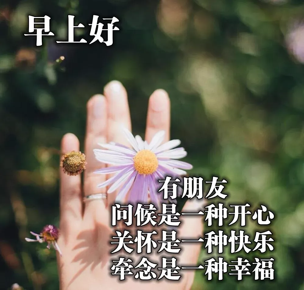 早安快起床,保持好心态,努力向前冲,道一句早安!