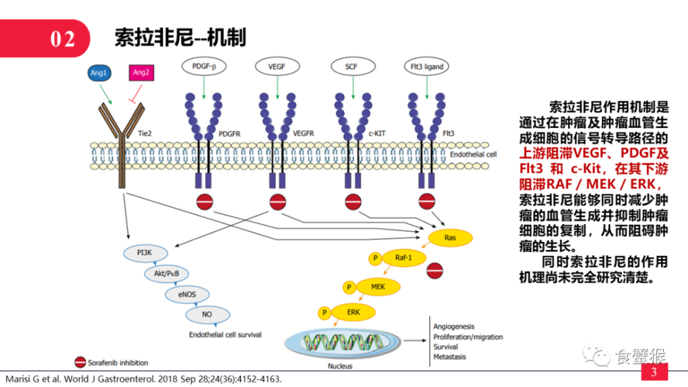 肝细胞癌hcc系统治疗索拉非尼