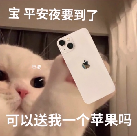 沙雕表情包|宝,平安夜要到了,可以送我一个苹果吗?