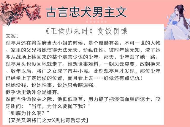 6本古言忠犬男主文强推将军总被欺负哭有种被治愈的感觉