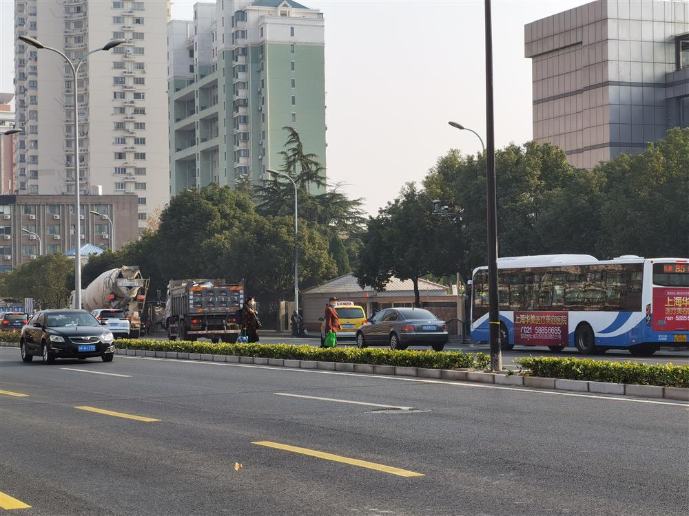 记者发现,不仅是浦东大道龙居路这个丁字路无法南北过街通行,西至德平