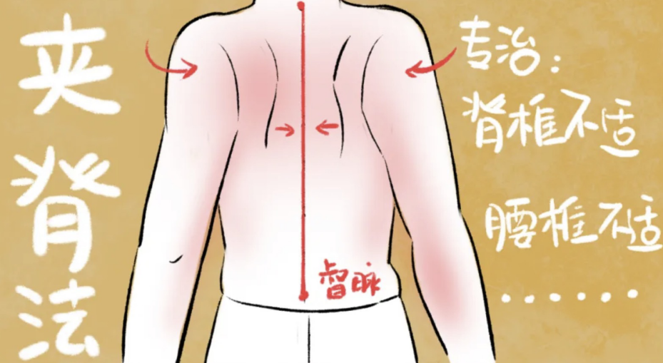 夹脊法的具体操作方法是: 1.身子往前挪,坐到椅子前半部分; 2.