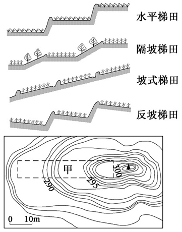 坡式梯田c 隔坡梯田 d.