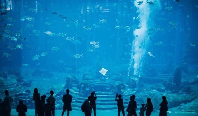 壁纸 海底 海底世界 海洋馆 水族馆 桌面 640_376
