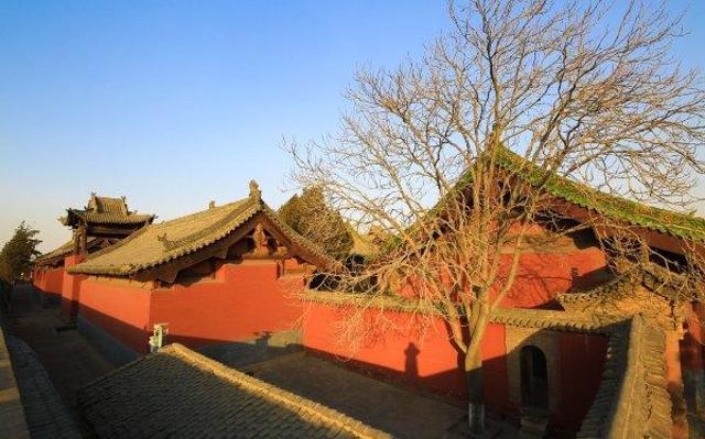 走上寺庙一周的围墙上,看着这翘顶和枯枝,北方的冬天有些萧条.