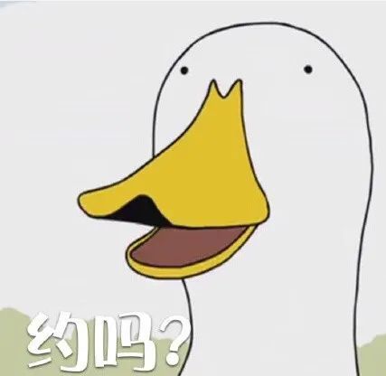 小鸭子表情包#cr:kaoee白鹅 爱七鸭 青井硝子 dakeduck糯糯叽叽的小
