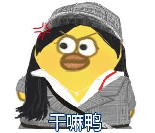 小鸭子表情包#cr:kaoee白鹅 爱七鸭 青井硝子 dakeduck糯糯叽叽的小