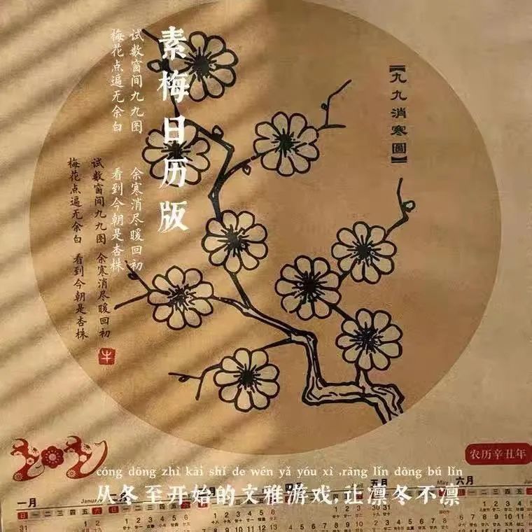 冬至岁时雅集之数九画红梅水仙简笔画走进圣诞节花卉醉美秋季遇见精彩