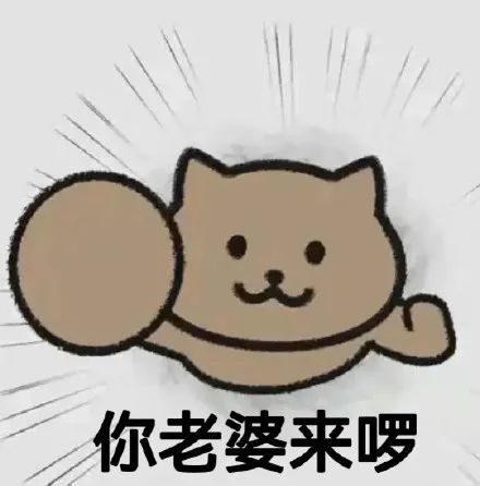 表情包你爹来咯要生活费猫猫表情包