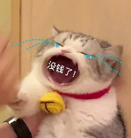 表情包你爹来咯要生活费猫猫表情包