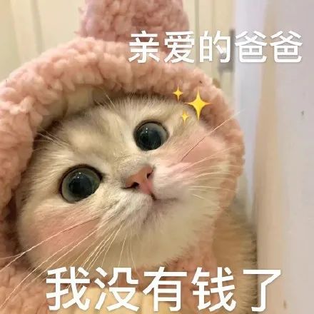 表情包你爹来咯要生活费猫猫表情包