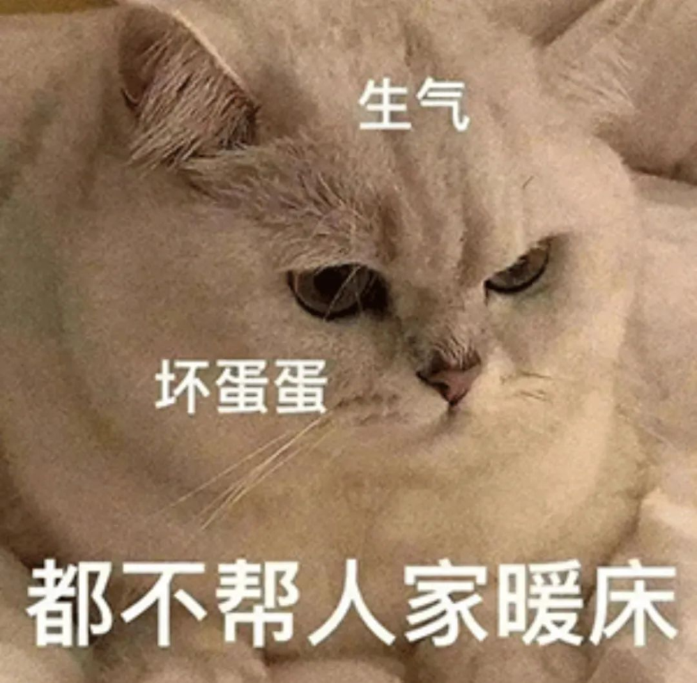 表情包我是菜狗