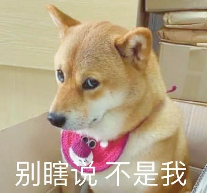 表情包我是菜狗