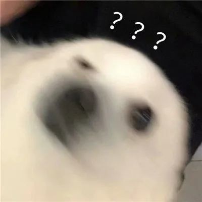 眼不见心不烦微信表情包