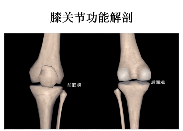 骨科精读高清图解膝关节疼痛的诊断思路赶紧收藏