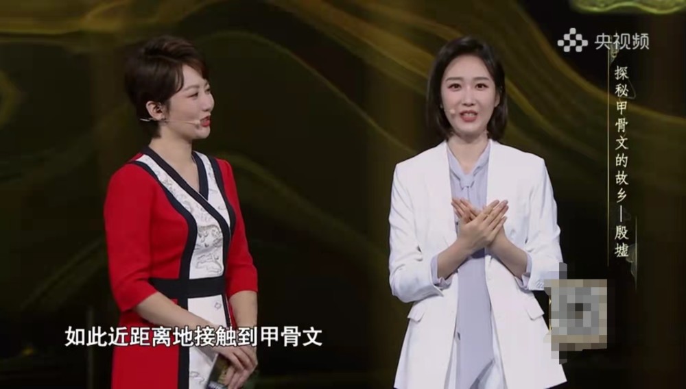 王嘉宁亮相央视《考古大会,不是主持胜似主持,成
