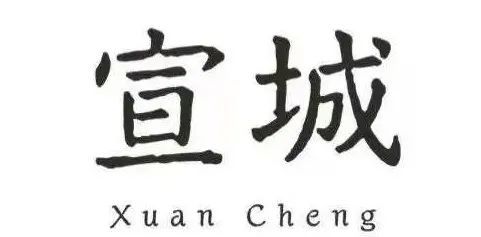 又有城市logo"翻车"了?安徽宣城标志三选一!