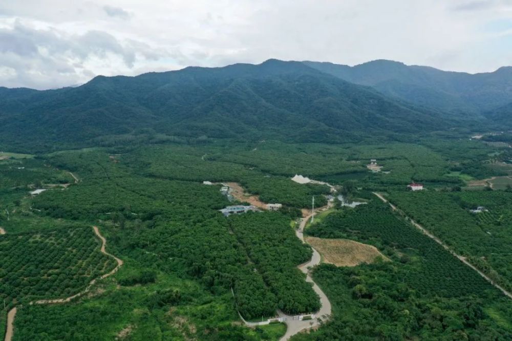 海南永涛花梨谷文化旅游度假区, 位于东方与乐东交界处.