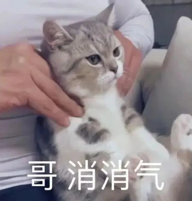 沙雕表情包|哥消消气