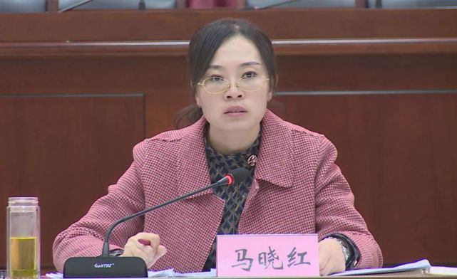 马晓红主持召开2022年重点项目推进会