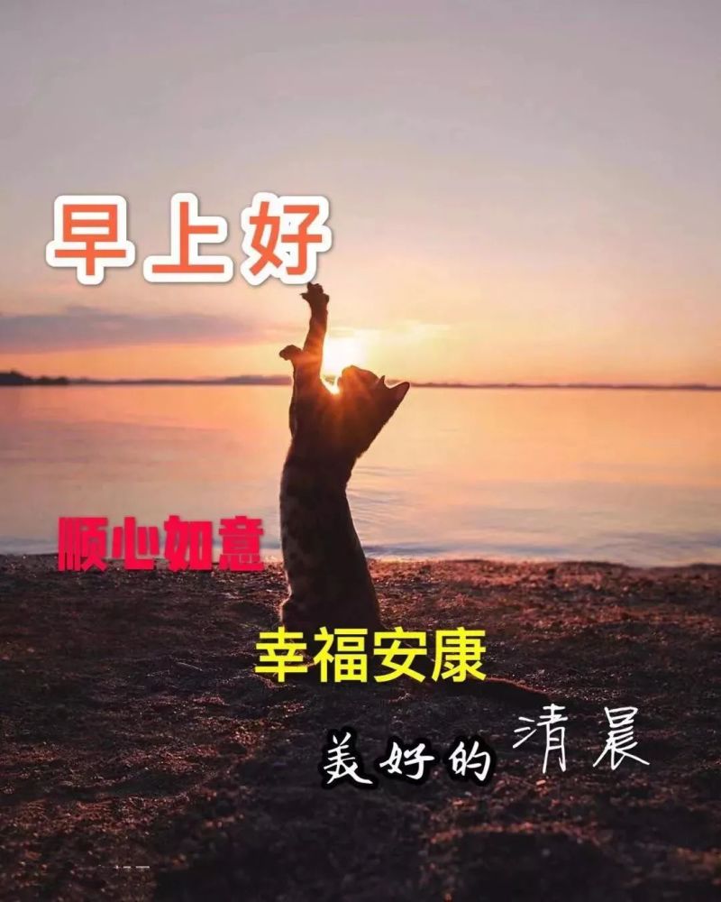 朋友圈早安问候祝福语图片带字温馨最新漂亮早上好问候动态图带字