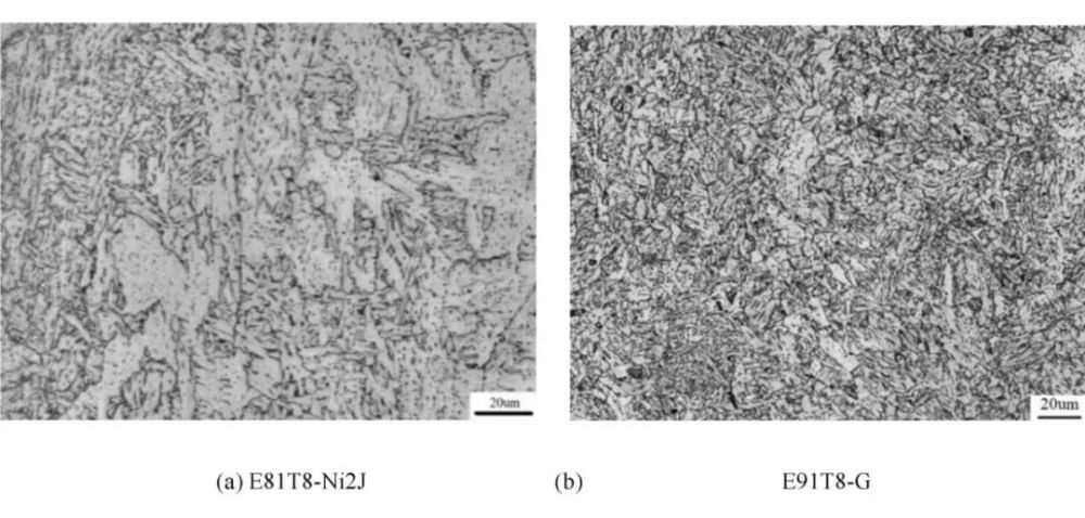 e91t8-g焊丝填充,盖面所得焊缝与热影响区的显微组织形貌(图10),可见