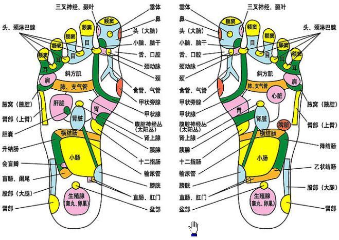 脚部穴位图足疗口诀