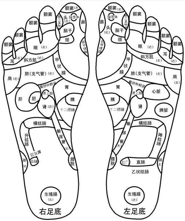 人体脚部穴位,反射示意图:可按图找到阿是穴,对照图示看是那里有病变