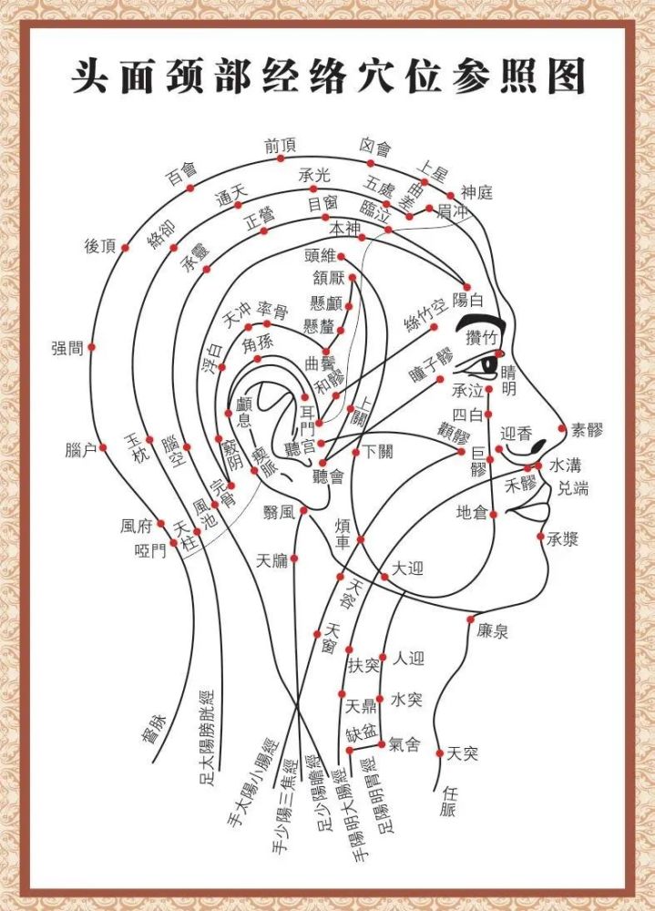 十二经络交接规律功能及陈氏太极拳老架起势的经络示意图